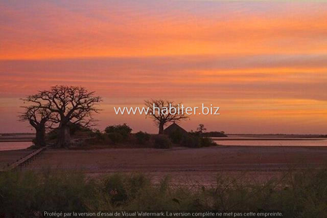 Magnifique terrain de 1000m² à vendre à PALMARIN.