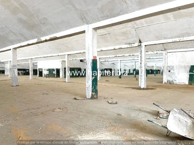 Hangars fermés de 1000 et 8000m² à louer à Pikine ICOTAF