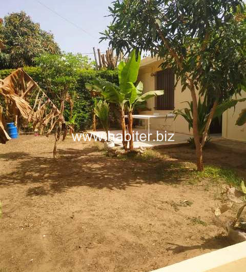 Villa basse à louer au Point E