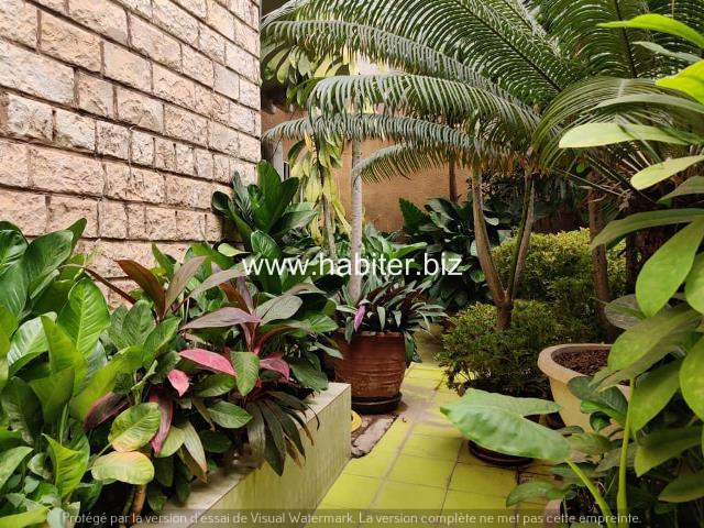 Villa habitable de 200m2 à vendre à Gibraltar Centenaire