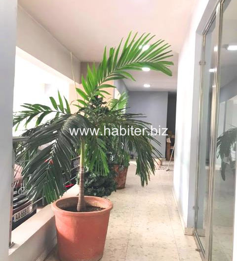 Appartements à louer à Hann bel air