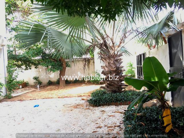 Villa en rénovation à louer à Fenêtre Mermoz