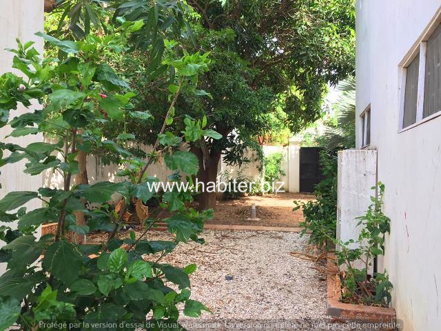 Villa en rénovation à louer à Fenêtre Mermoz