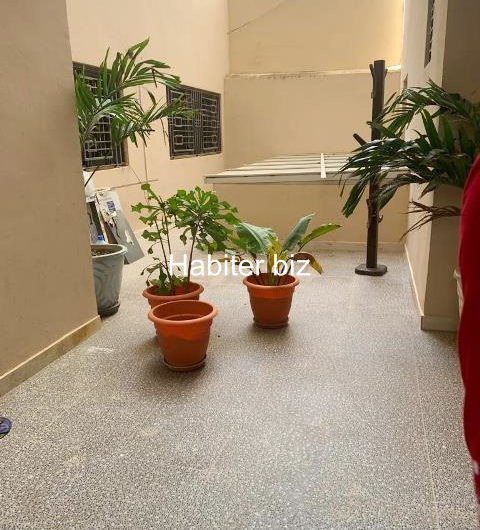 Appartement spacieux à louer à Mermoz au RDC