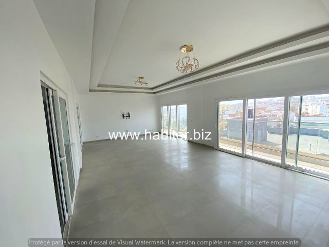 Joli Penthouse à louer aux Mamelles