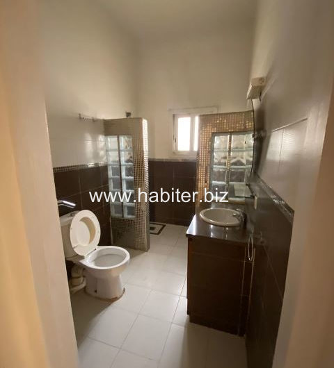 Appartements spacieux à louer au centre ville
