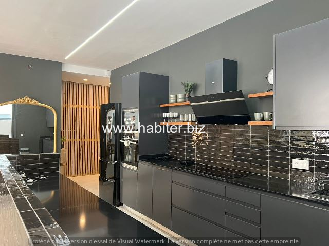 Bel appartement de 223m2 à vendre au plateau en bordure de mer