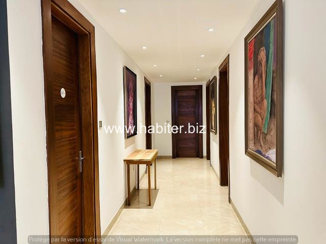 Appartements vides ou meublés à louer aux Almadie