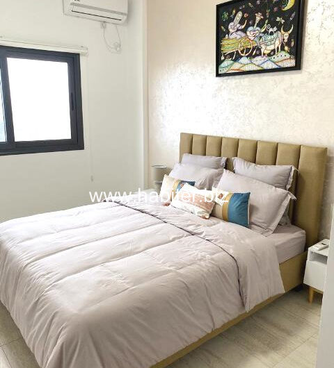 Appartement vide ou meublé à louer au point E