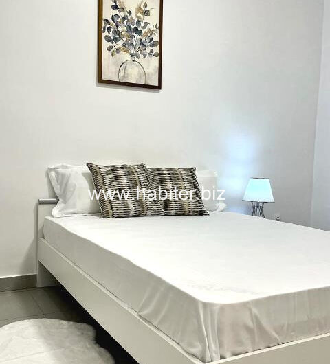Appartement F3 Meublé à louer aux mamelles