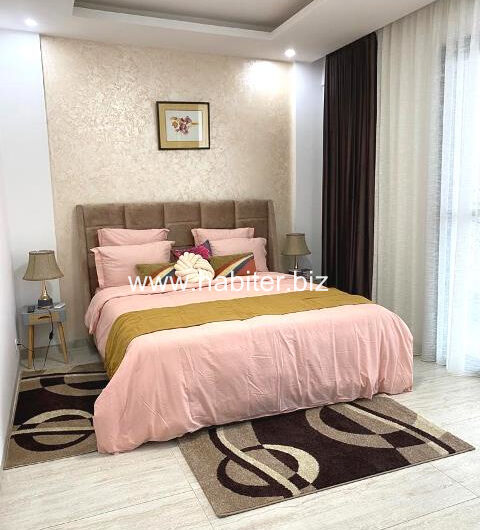 Appartement vide ou meublé à louer au point E