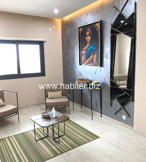 Appartement vide ou meublé à louer au point E
