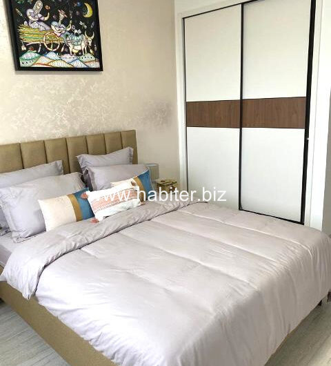 Appartement vide ou meublé à louer au point E