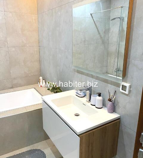Appartement vide ou meublé à louer au point E