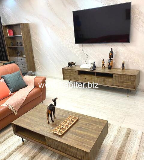 Appartement vide ou meublé à louer au point E