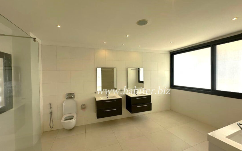 Penthouse en duplex à louer au Point E