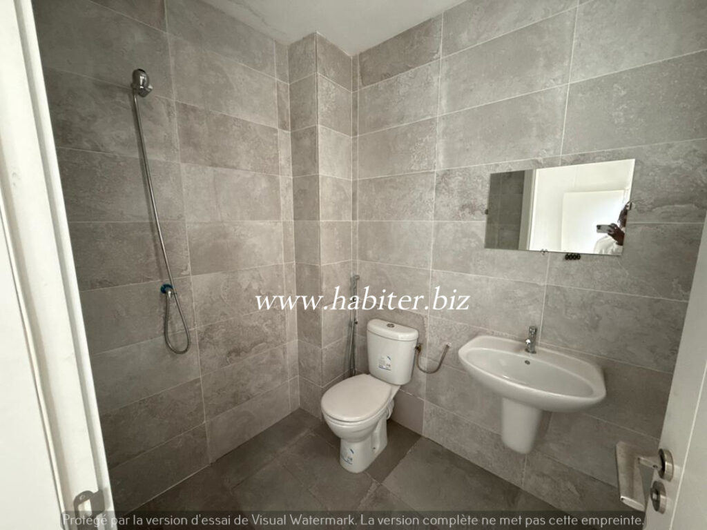 Appartement de type F4 à louer au point E