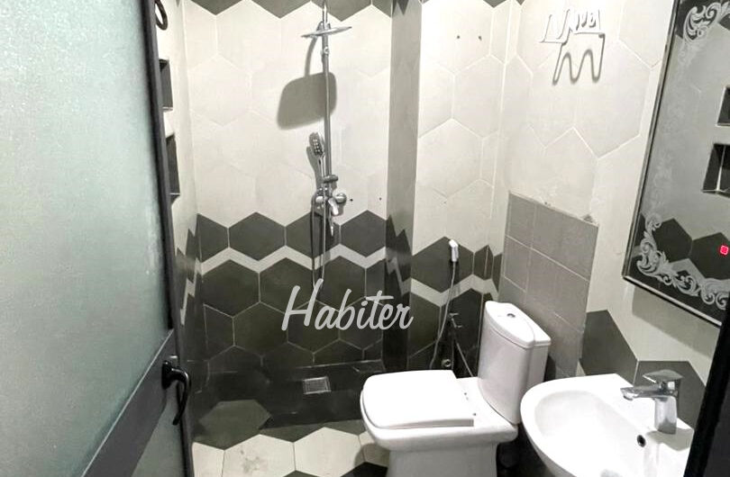 Appartement à louer à Mermoz pyrotechnique