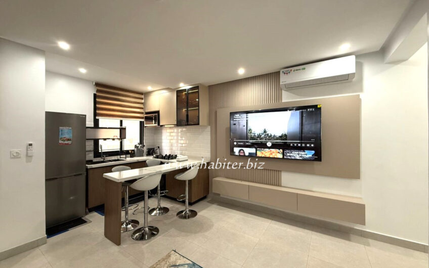 Magnifique Appartement à vendre au Point E