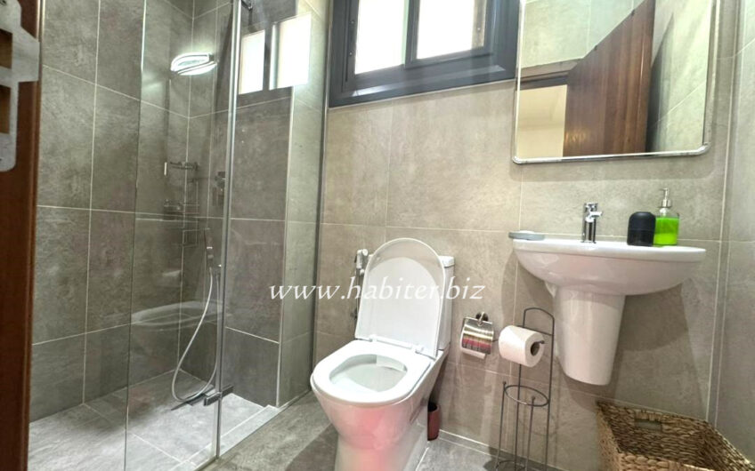 Appartement meublé à louer Sacré-cœur