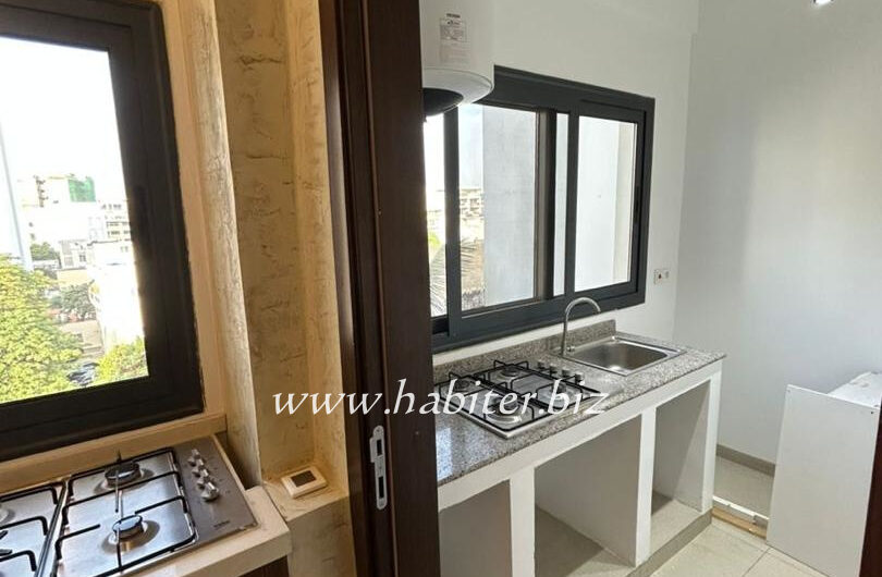 Appartement à louer à Amitié 1